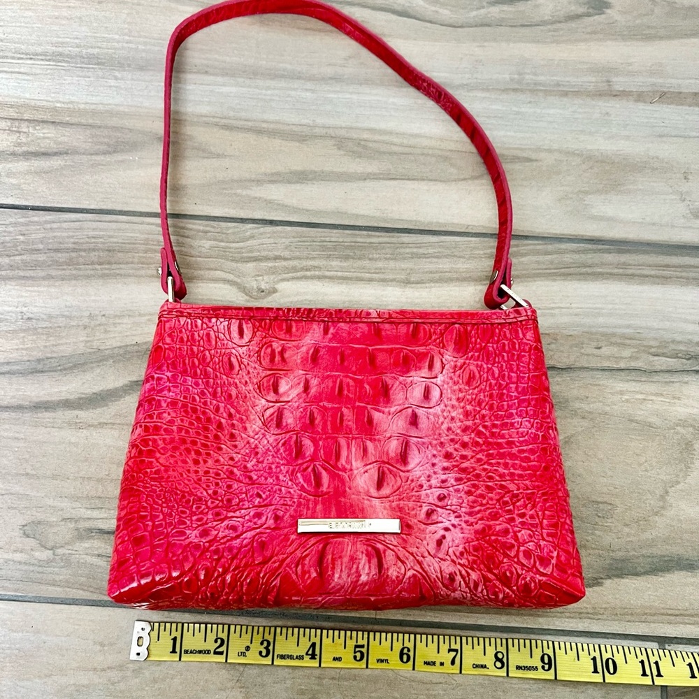 Brahmin - Picture 5 of 7